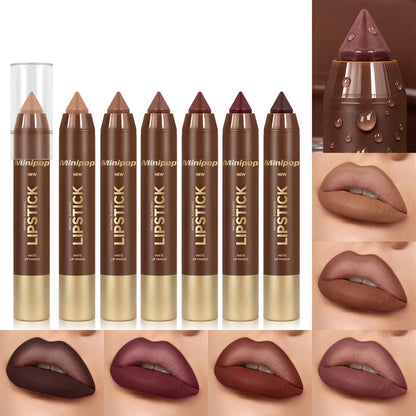 6Pcs Mauve Matte Brown Lip Liner and Lipstick Combo Set Kit